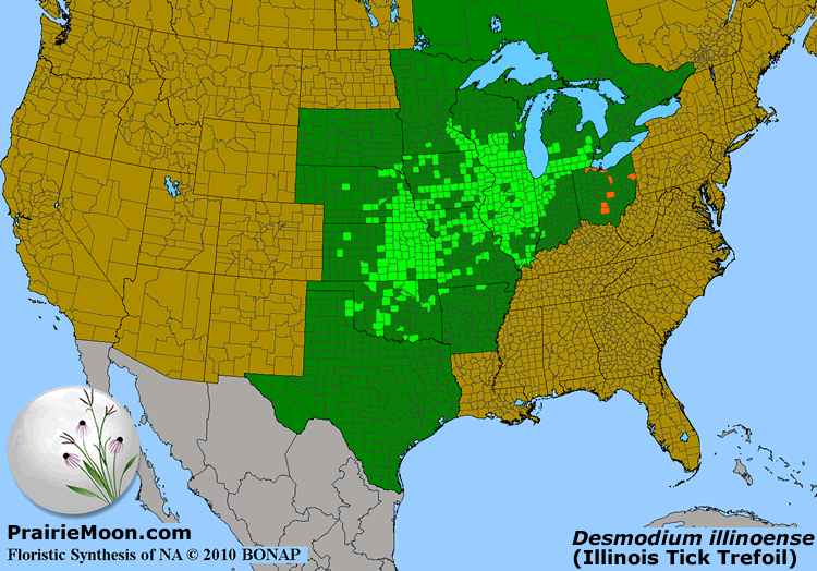 illinois tick trefoil