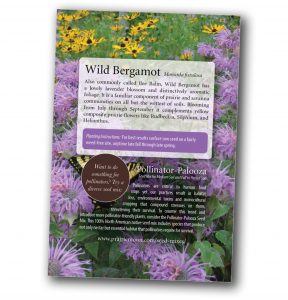 Wild Bergamot - Monarda fistulosa free seed packet (back) from Prairie Moon Nursery