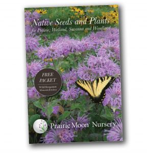 Wild Bergamot - Monarda fistulosa free seed packet (front) from Prairie Moon Nursery