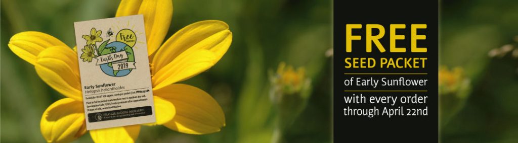 Earth Day 2019 - Free Seed Packet of Early Sunflower