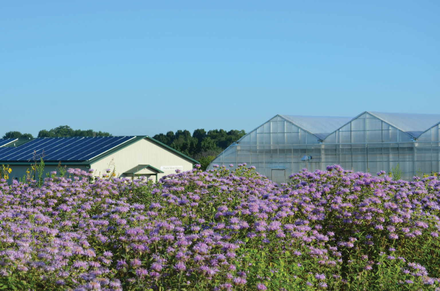 PrairieMoonNurseryCovid19Response Prairie Moon Nursery
