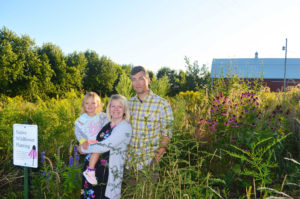 What’s the buzz at the neighbor’s house?  The first years of a new prairie