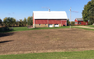 How to Prep your Site for a Native Seed Mix