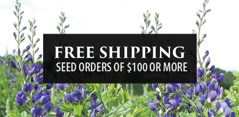 We are excited to announce free shipping