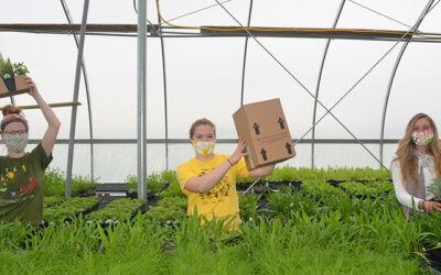 Prairie Moon Nursery COVID-19 Update