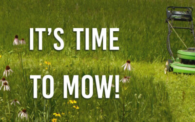 Are You Mowing Your 1st Year Prairie?