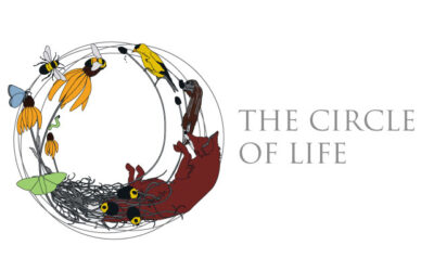 The Circle of Life