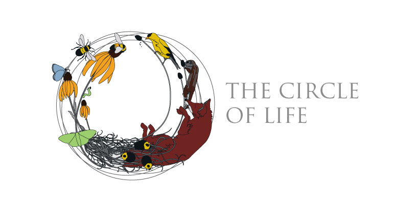 The Circle of Life
