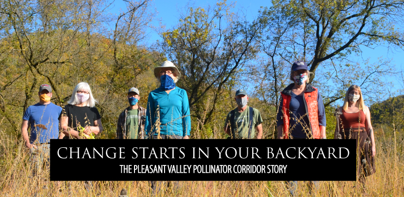CHANGE STARTS IN YOUR BACKYARD: The Pleasant Valley Pollinator Corridor Story