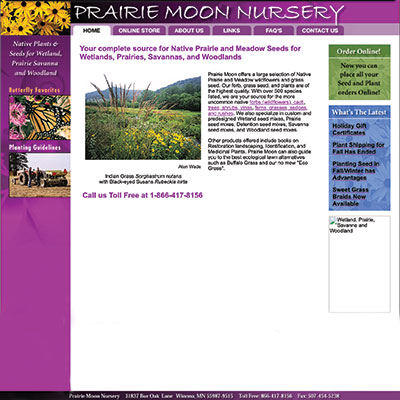 web-2004