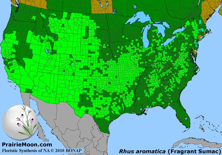 Prairie Moon Nursery Warning