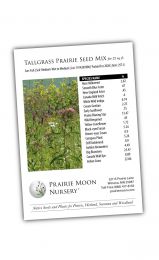 Tallgrass Prairie Seed Mix for 25 sq ft