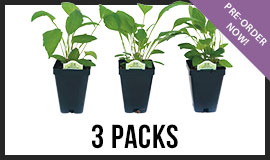3-Packs
