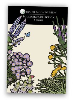 Boulevard Collection