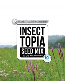 Insectopia Seed Mix