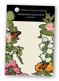 Milkweed Collection