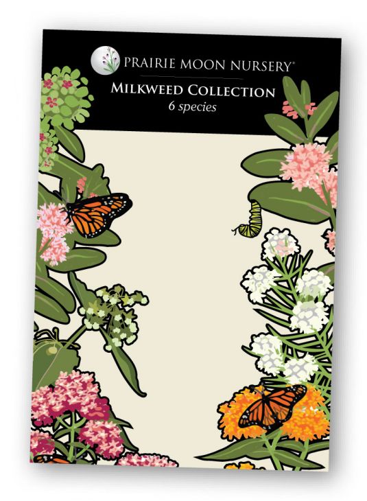 Milkweed Seed Packet Collection