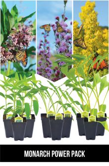 Monarch Power Pack