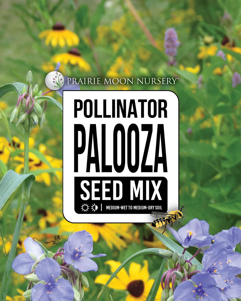 PollinatorPalooza Prairie Seed Mix Prairie Moon Nursery