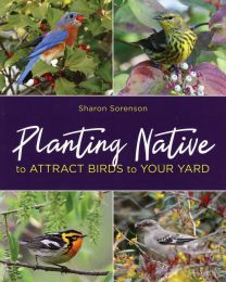 Planting Native to Attract Birds to Your Yard