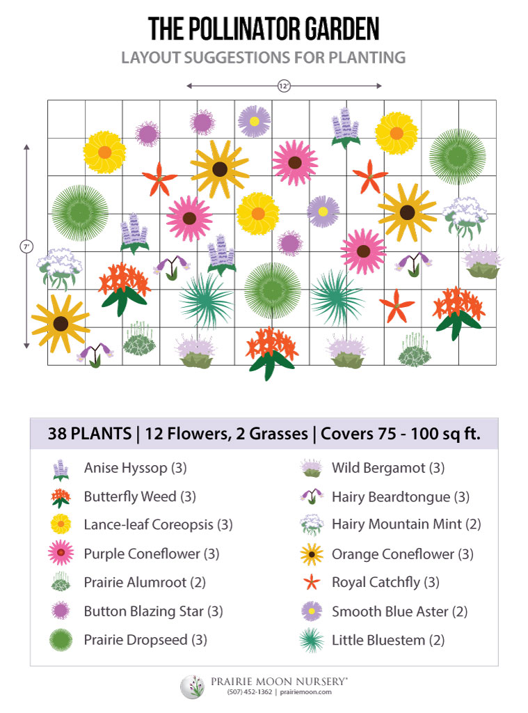Pollinator Garden Kit - 38 plants