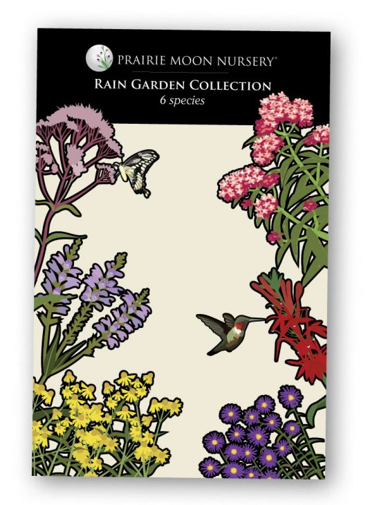 Rain Garden Seed Packet Collection