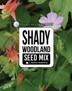 Shady Woodland Seed Mix