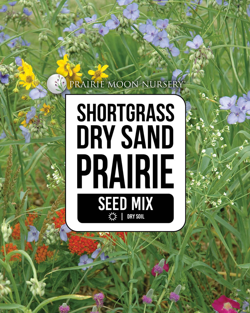 Shortgrass Dry Sand Prairie Seed Mix