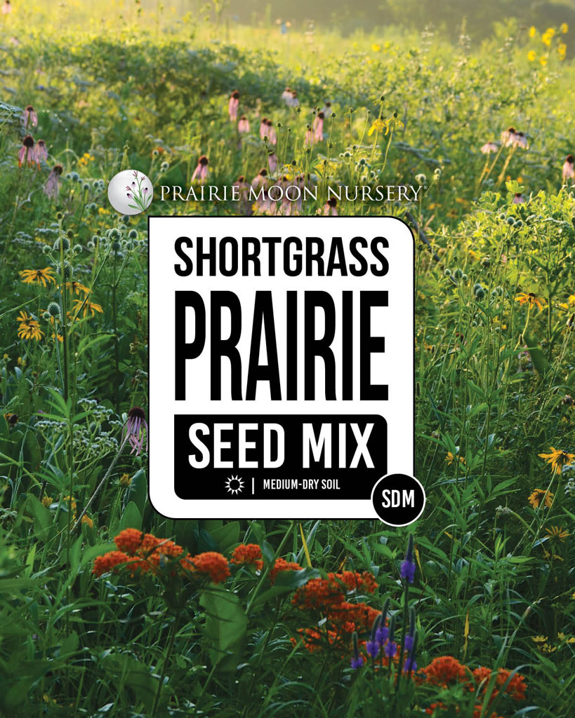 Shortgrass Prairie Seed Mix for MediumDry Soils Prairie Moon Nursery