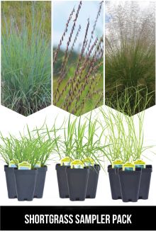Shortgrass Sampler Pack