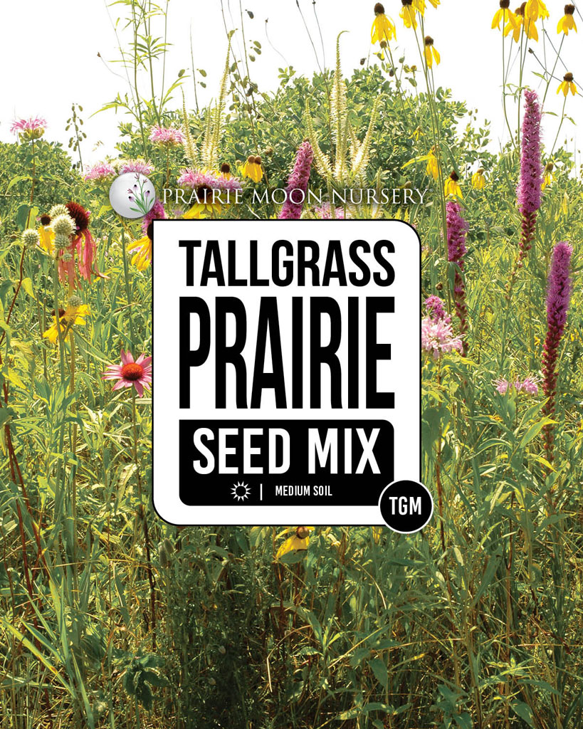 Tallgrass Prairie Seed Mix for Medium Soils Prairie Moon Nursery