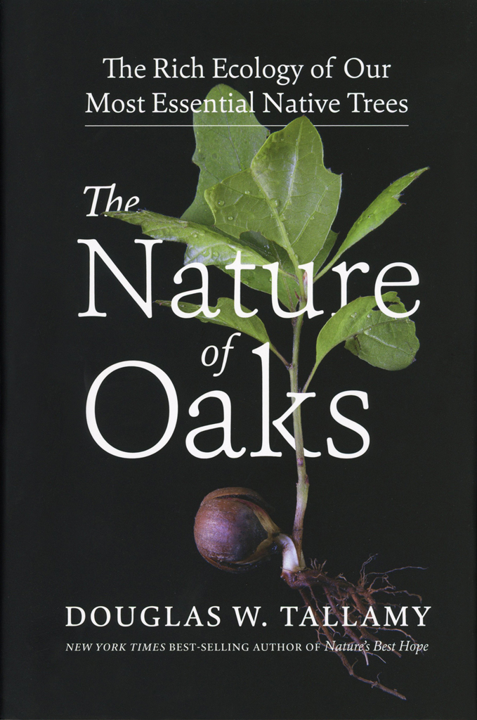 The Nature of Oaks | Prairie Moon Nursery