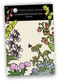 Understory Collection