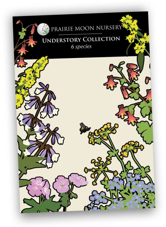 Understory Seed Packet Collection