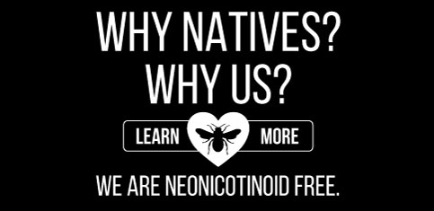 Why Natives? Why Us?