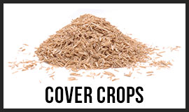 Cover Crops