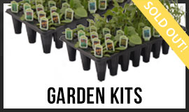 Potted Garden Kits