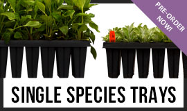 Single Species Trays