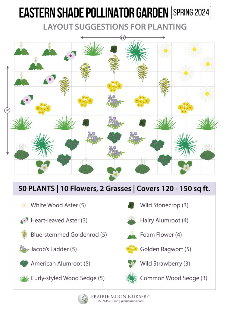 Eastern Shade Pollinator Garden Kit Prairie Moon Nursery