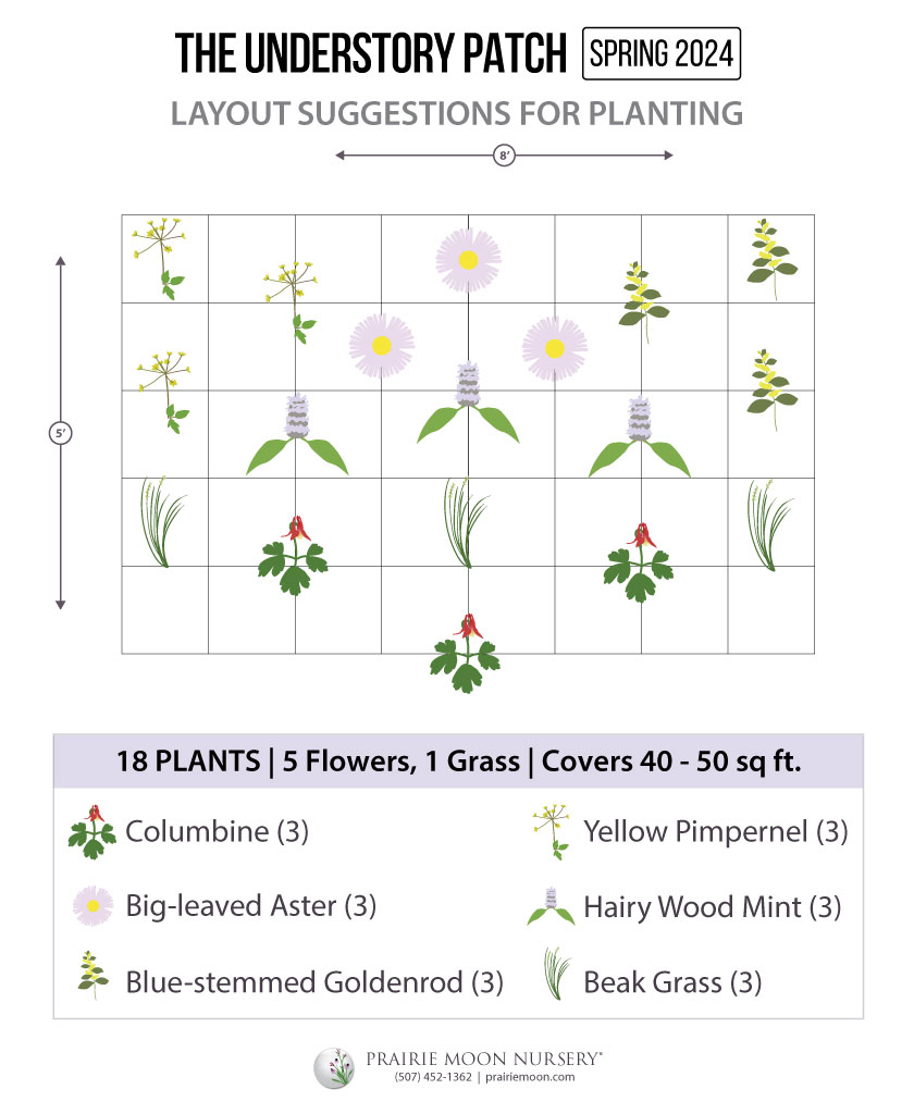 Understory Patch Garden Kit - 18 plants