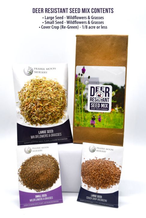 Deer Resistant Seed Mix | Prairie Moon Nursery