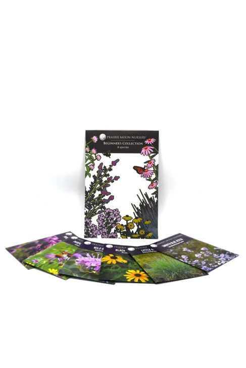 Beginner's Seed Packet Collection | Prairie Moon Nursery