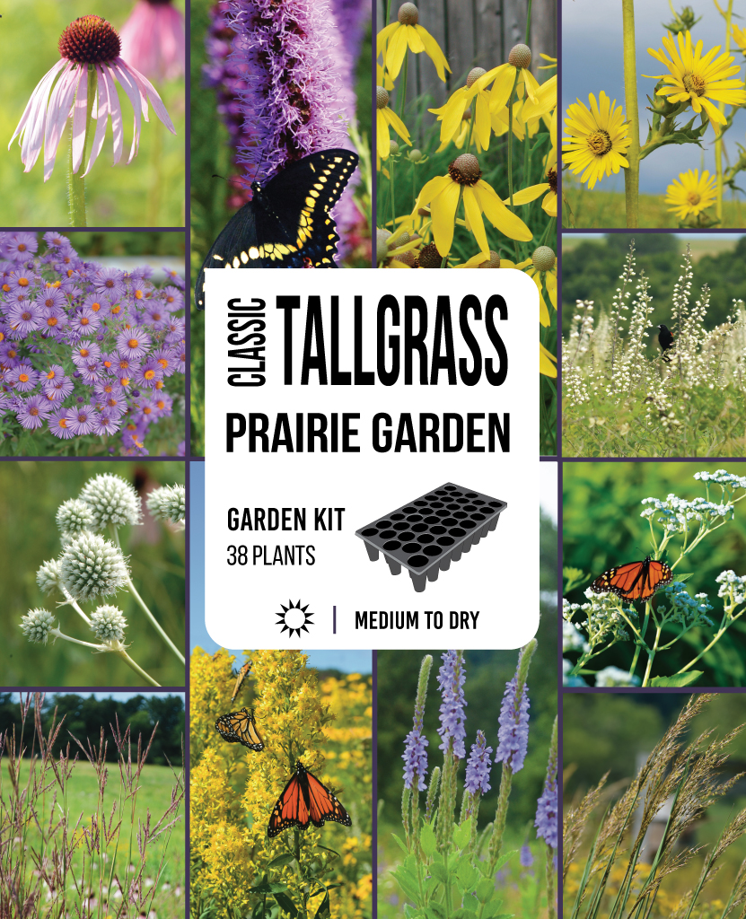 Classic Tallgrass Prairie Garden Kit Prairie Moon Nursery