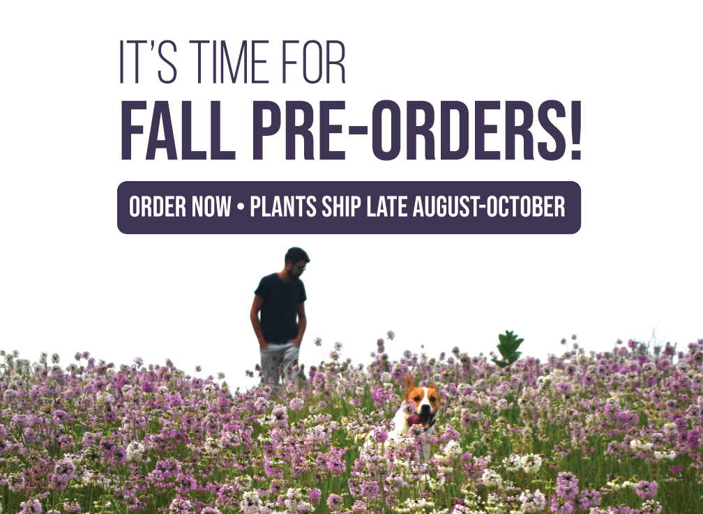 $10.00 off colossal pollinator gardens