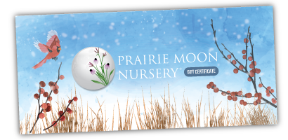 Give the Gift That Grows