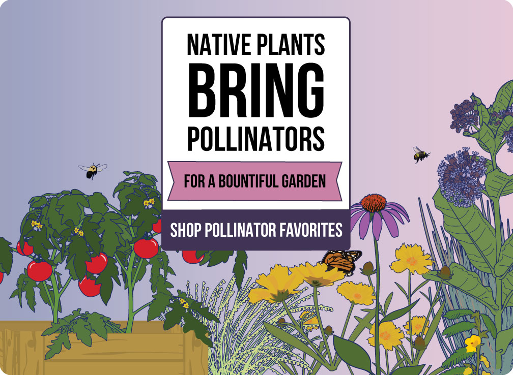 $10.00 off colossal pollinator gardens