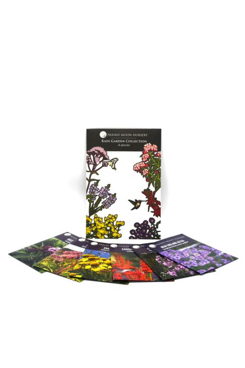 Rain Garden Seed Packet Collection | Prairie Moon Nursery