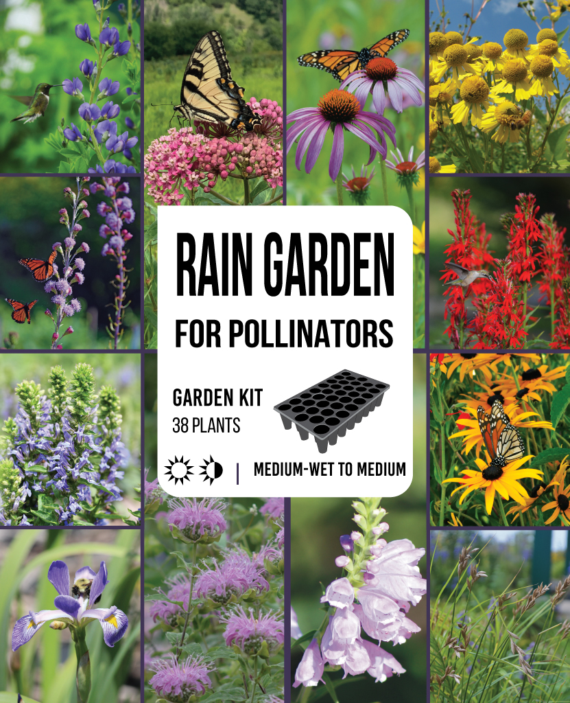Rain Garden for Pollinators Kit Prairie Moon Nursery