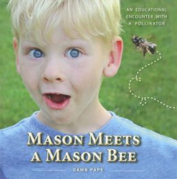 Mason Meets a Mason Bee