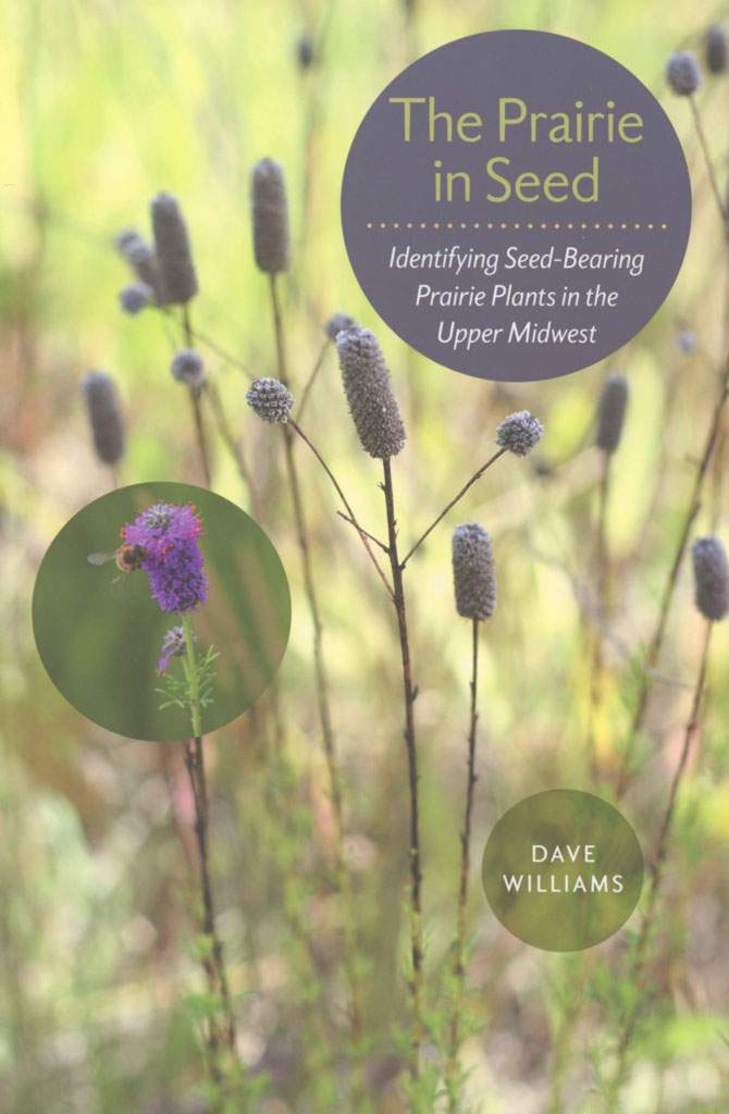 The Prairie in Seed Prairie Moon Nursery